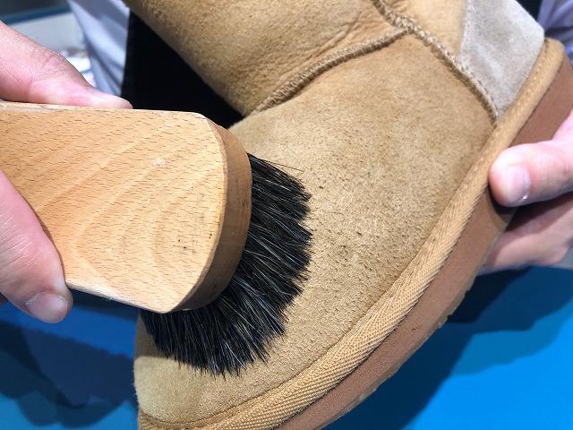 201902blog_brushing2.jpg