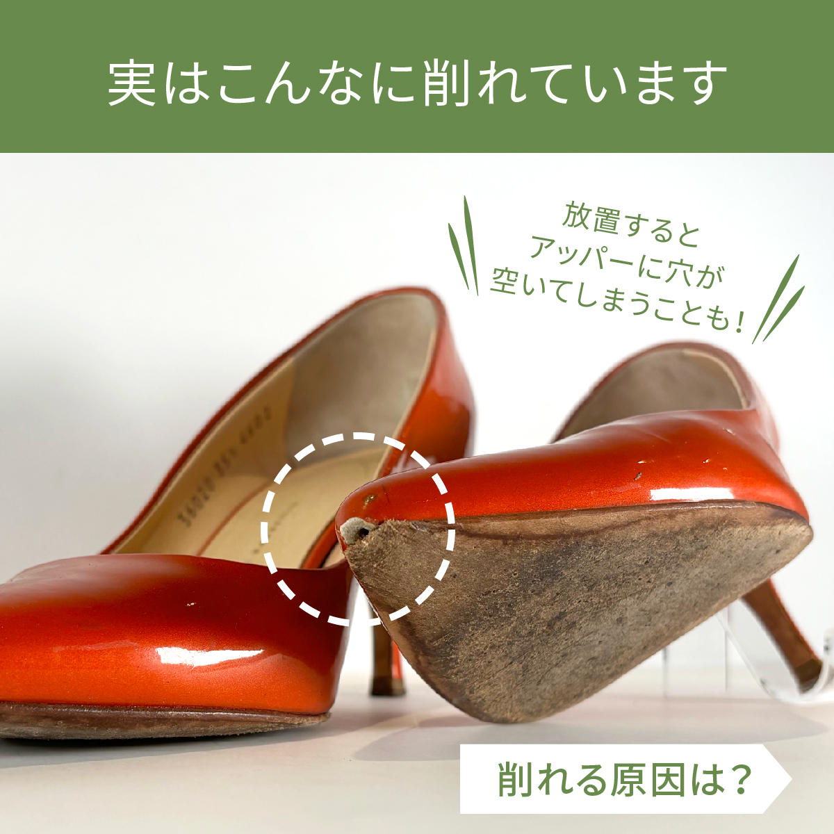 2407_tsumasaki_02.jpg