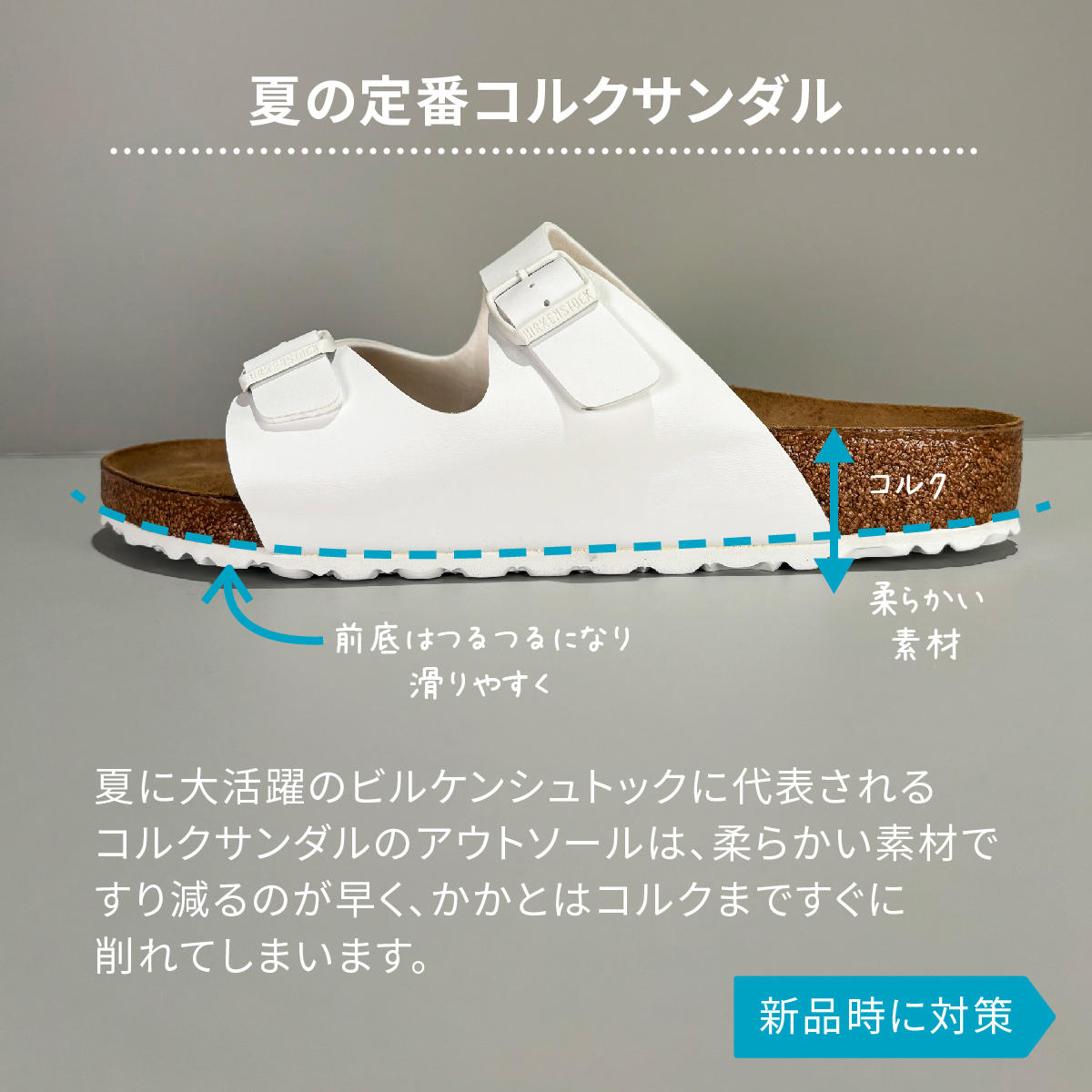 birken_02.jpg
